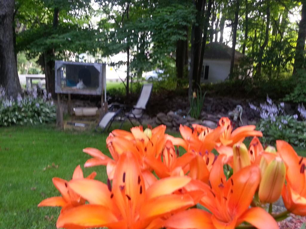 Kountry Living Bed And Breakfast Oneonta Buitenkant foto